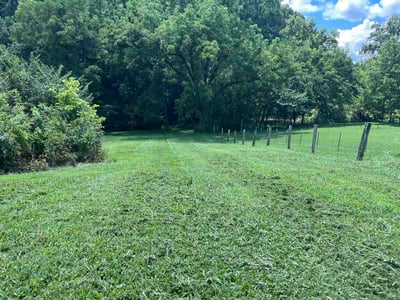 Lawn Care service in Corryton, 37721