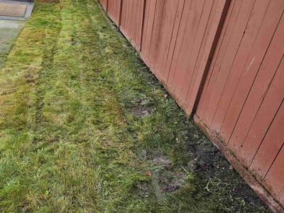 Lawn Care service in Arlington, 98223