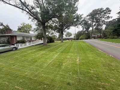Lawn Care service in Corryton, 37721