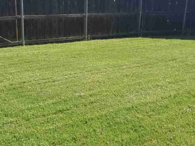 Lawn Care service in Cedar Hill, 75104