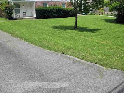 Lawn Care service in Goodlettsville, 37072
