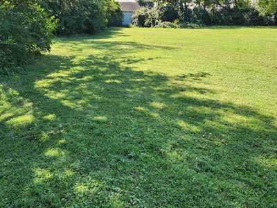 Lawn Care service in Bensalem, 19020