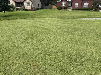 Lawn Care service in Westmoreland, 37186