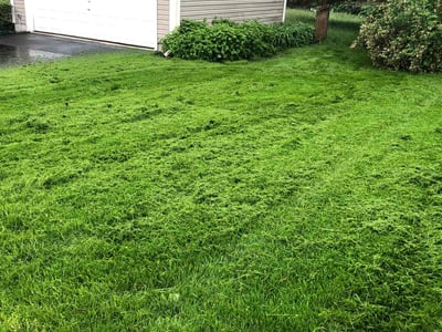 Lawn Care service in Waukesha, 53186
