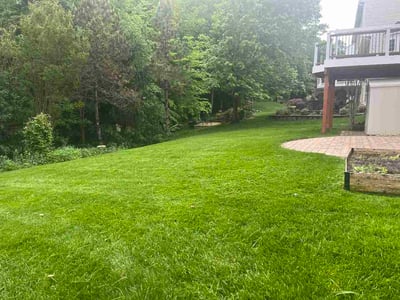 Lawn Care service in Manassas, 20110