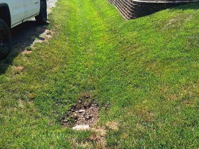 Lawn Care service in Stafford, 22554