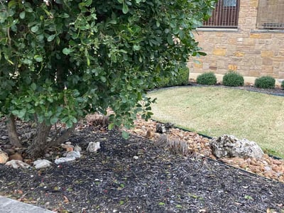 Lawn Care service in New Braunfels, 78130