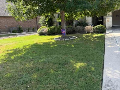 Lawn Care service in New Braunfels, 78130