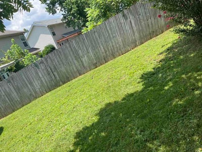 Lawn Care service in Woodbury, 37190