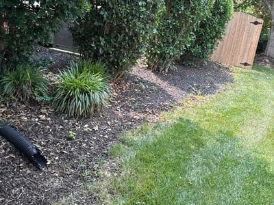 Lawn Care service in Redwood City, 94063