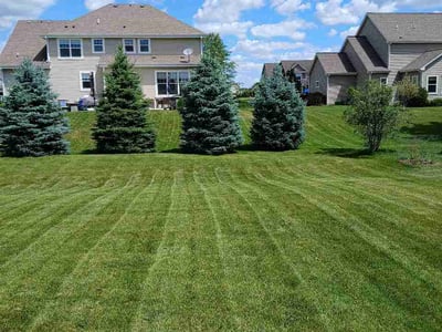 Lawn Care service in Pewaukee, 53072