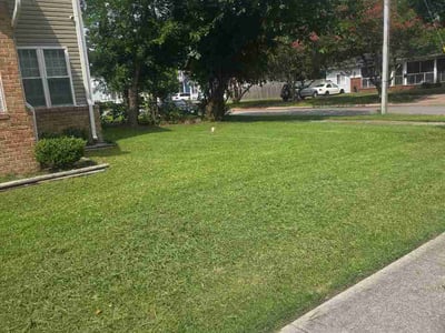 Lawn Care service in Hayes, 23072
