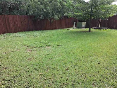 Lawn Care service in Shavano Park, 78231