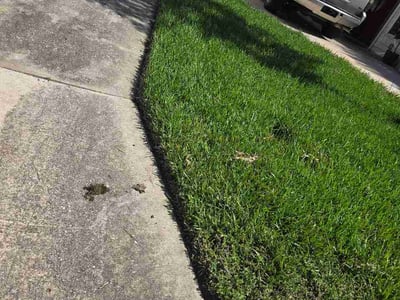 Lawn Care service in Shavano Park, 78231