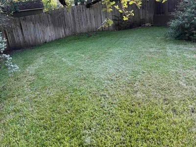 Lawn Care service in Shavano Park, 78231