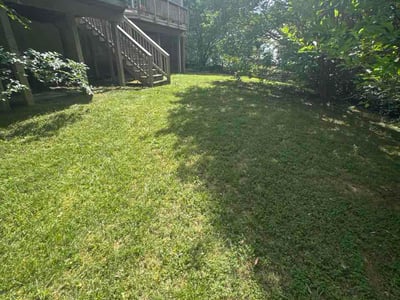 Lawn Care service in Purcellville, 20132