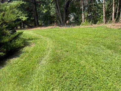 Lawn Care service in Herndon, 20170