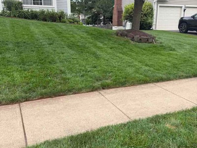 Lawn Care service in Herndon, 20170