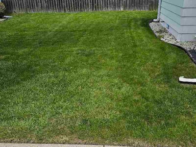 Lawn Care service in Franklin, 53132