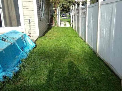 Lawn Care service in Franklin, 53132