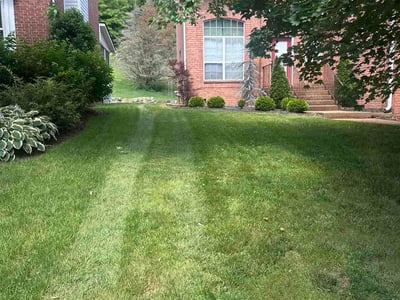 Lawn Care service in White Bluff, 37187