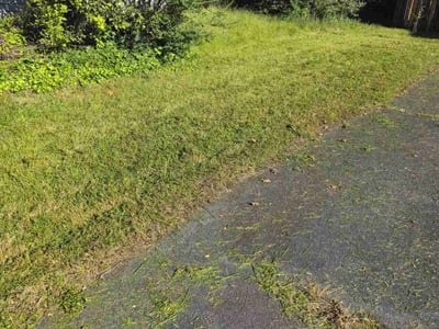 Lawn Care service in Herndon, 20170
