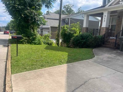 Lawn Care service in Soddy Daisy, 37379