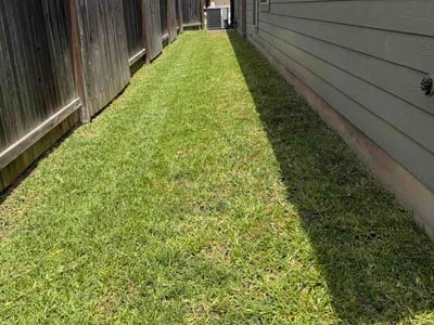 Lawn Care service in Seguin, 78155
