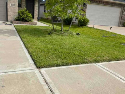 Lawn Care service in Willis, 77378