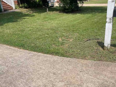 Lawn Care service in Clemson, 29631