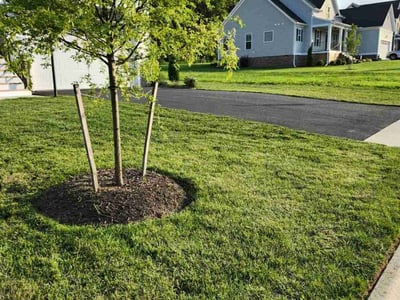 Lawn Care service in Charles City, 23030
