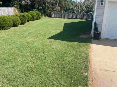 Lawn Care service in Clemson, 29631
