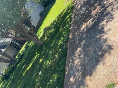 Lawn Care service in Clemson, 29631