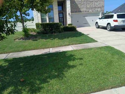 Lawn Care service in Stafford, 77477