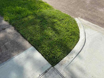 Lawn Care service in La Porte, 77571