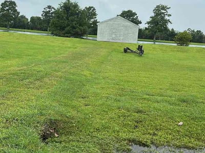 Lawn Care service in Rosharon, 77583