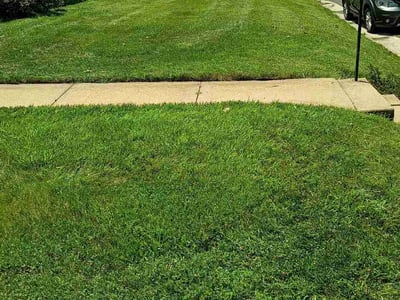 Lawn Care service in Willow Grove, 19090