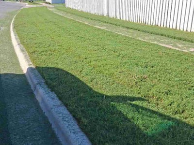 Lawn Care service in Taylor, 76574