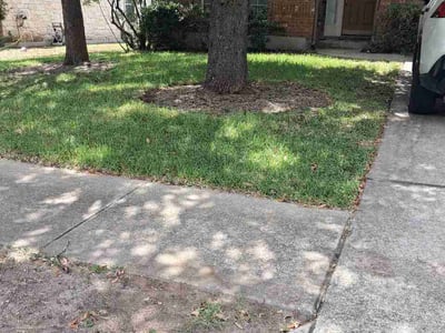 Lawn Care service in Taylor, 76574