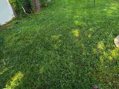 Lawn Care service in Pleasant View, 37146
