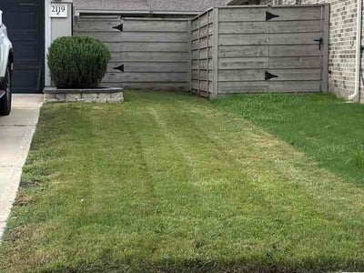 Lawn Care service in Manvel, 77578