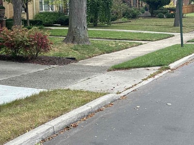 Lawn Care service in Lynnwood, 98036