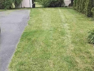 Lawn Care service in Nazareth, 18064