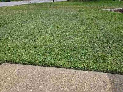 Lawn Care service in Keller, 76248