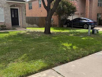 Lawn Care service in Round Rock, 78664