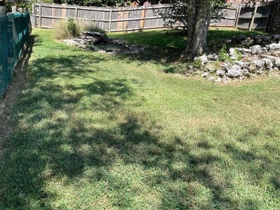 Lawn Care service in Lynnwood, 98036