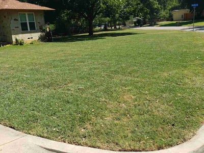 Lawn Care service in Granbury, 76048