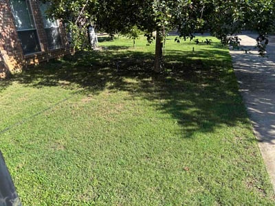 Lawn Care service in Granbury, 76048
