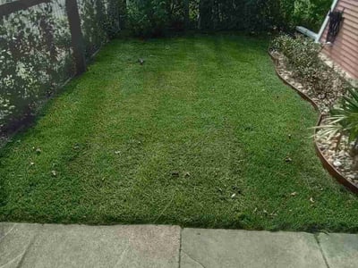 Lawn Care service in Stone Oak, 78258