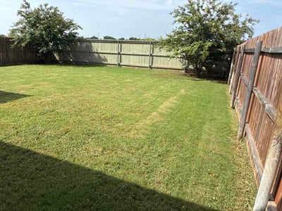 Lawn Care service in Liberty Hill, 78642